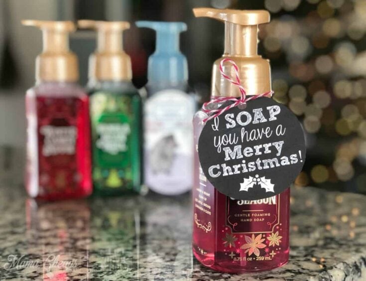 Festive hand soap bottles with holiday-themed labels and a Christmas tree in the background, perfect for seasonal home decor and gift ideas.