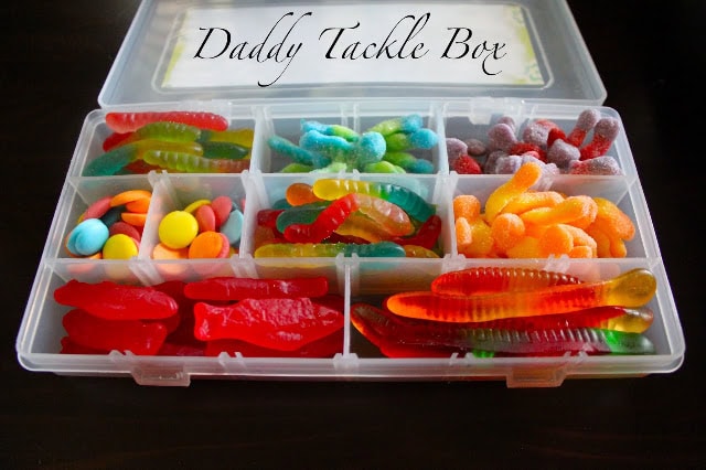 Clear plastic tackle box labeled Daddy Tackle Box filled with colorful fishing worms, grubs, and soft plastics for freshwater fishing, organized in compartments.
