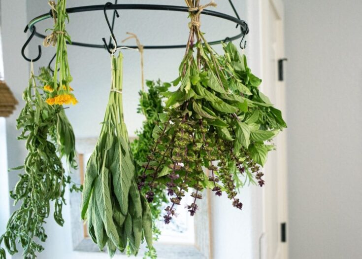 Herbs hanging in a black metal rack: sage, thyme, oregano, and other fresh greens drying as part of homemade gifts and kitchen decor.