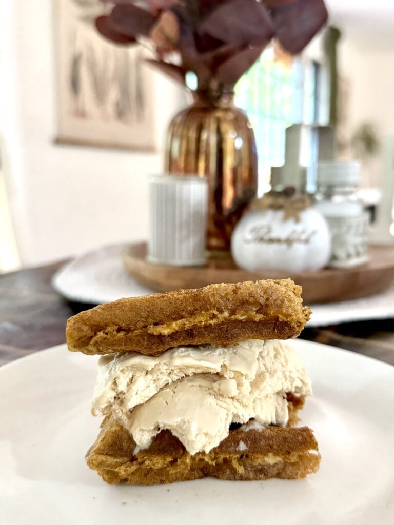 Pumpkin protein waffle ice cream sandwich with dairy-free vanilla ice cream