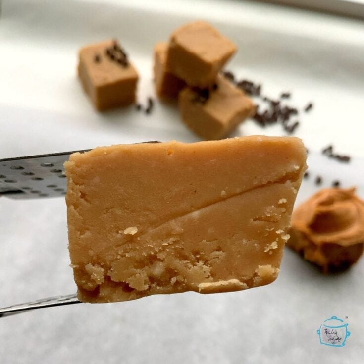 A close-up of creamy caramel fudge held by a knife, with additional fudge pieces in the background and a small blue logo in the corner, highlighting rich caramel flavor and smooth texture for image-优化.