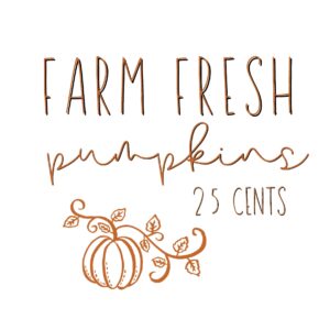 farm fresh pumpkins